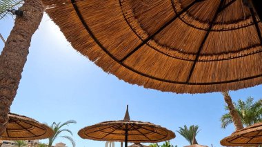 Kumsal Şemsiyesi ve Sunbed, Sandy Coast 'ta. Okyanus manzaralı deniz kenarı tatil konsepti. Deniz tatil köyü atmosferi dinleniyor. Okyanus kıyısında huzurlu bir yaz günü. Seyahat Konsepti.