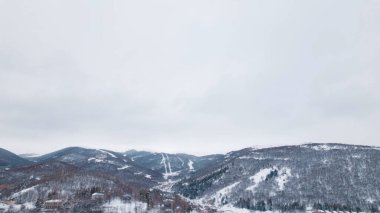 Karla kaplı Ağaçlarla Donmuş Kış Ormanı. Soğuk Mevsimlik Orman Manzarası. Buzlu Doğa Sahnesi, Sakin Kış Atmosferi, Doğal Arkaplan.