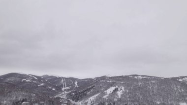 Karla kaplı Ağaçlarla Donmuş Kış Ormanı. Soğuk Mevsimlik Orman Manzarası. Buzlu Doğa Sahnesi, Sakin Kış Atmosferi, Doğal Arkaplan.