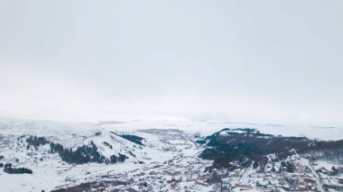 Karla kaplı Ağaçlarla Donmuş Kış Ormanı. Soğuk Mevsimlik Orman Manzarası. Buzlu Doğa Sahnesi, Sakin Kış Atmosferi, Doğal Arkaplan.