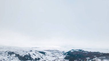 Karla kaplı Ağaçlarla Donmuş Kış Ormanı. Soğuk Mevsimlik Orman Manzarası. Buzlu Doğa Sahnesi, Sakin Kış Atmosferi, Doğal Arkaplan.