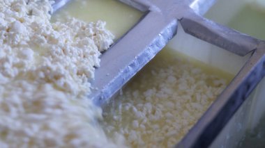 Çağdaş Fabrika, Süt İşleme ve Peynir Üretimi, Yiyecek Üretim Hattı, Endüstriyel Tarım ve Süt Ürünleri Konsepti ile Peynir Üretimi