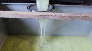 Çağdaş Fabrika, Süt İşleme ve Peynir Üretimi, Yiyecek Üretim Hattı, Endüstriyel Tarım ve Süt Ürünleri Konsepti ile Peynir Üretimi