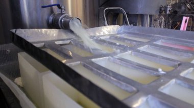 Çağdaş Fabrika, Süt İşleme ve Peynir Üretimi, Yiyecek Üretim Hattı, Endüstriyel Tarım ve Süt Ürünleri Konsepti ile Peynir Üretimi