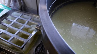 Çağdaş Fabrika, Süt İşleme ve Peynir Üretimi, Yiyecek Üretim Hattı, Endüstriyel Tarım ve Süt Ürünleri Konsepti ile Peynir Üretimi