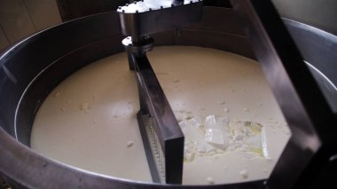 Çağdaş Fabrika, Süt İşleme ve Peynir Üretimi, Yiyecek Üretim Hattı, Endüstriyel Tarım ve Süt Ürünleri Konsepti ile Peynir Üretimi