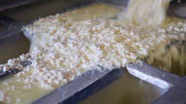 Çağdaş Fabrika, Süt İşleme ve Peynir Üretimi, Yiyecek Üretim Hattı, Endüstriyel Tarım ve Süt Ürünleri Konsepti ile Peynir Üretimi