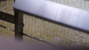 Çağdaş Fabrika, Süt İşleme ve Peynir Üretimi, Yiyecek Üretim Hattı, Endüstriyel Tarım ve Süt Ürünleri Konsepti ile Peynir Üretimi