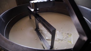 Çağdaş Fabrika, Süt İşleme ve Peynir Üretimi, Yiyecek Üretim Hattı, Endüstriyel Tarım ve Süt Ürünleri Konsepti ile Peynir Üretimi