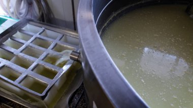 Çağdaş Fabrika, Süt İşleme ve Peynir Üretimi, Yiyecek Üretim Hattı, Endüstriyel Tarım ve Süt Ürünleri Konsepti ile Peynir Üretimi