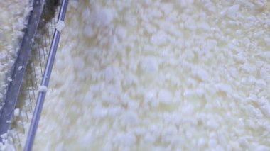 Çağdaş Fabrika, Süt İşleme ve Peynir Üretimi, Yiyecek Üretim Hattı, Endüstriyel Tarım ve Süt Ürünleri Konsepti ile Peynir Üretimi