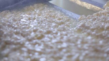 Çağdaş Fabrika, Süt İşleme ve Peynir Üretimi, Yiyecek Üretim Hattı, Endüstriyel Tarım ve Süt Ürünleri Konsepti ile Peynir Üretimi