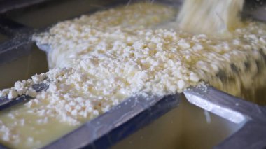 Çağdaş Fabrika, Süt İşleme ve Peynir Üretimi, Yiyecek Üretim Hattı, Endüstriyel Tarım ve Süt Ürünleri Konsepti ile Peynir Üretimi