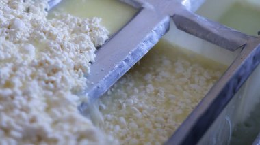 Çağdaş Fabrika, Süt İşleme ve Peynir Üretimi, Yiyecek Üretim Hattı, Endüstriyel Tarım ve Süt Ürünleri Konsepti ile Peynir Üretimi