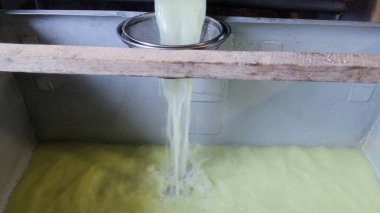 Çağdaş Fabrika, Süt İşleme ve Peynir Üretimi, Yiyecek Üretim Hattı, Endüstriyel Tarım ve Süt Ürünleri Konsepti ile Peynir Üretimi