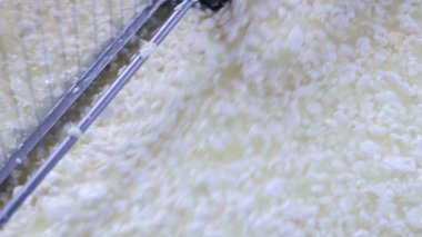 Çağdaş Fabrika, Süt İşleme ve Peynir Üretimi, Yiyecek Üretim Hattı, Endüstriyel Tarım ve Süt Ürünleri Konsepti ile Peynir Üretimi