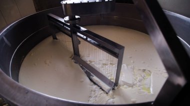 Çağdaş Fabrika, Süt İşleme ve Peynir Üretimi, Yiyecek Üretim Hattı, Endüstriyel Tarım ve Süt Ürünleri Konsepti ile Peynir Üretimi