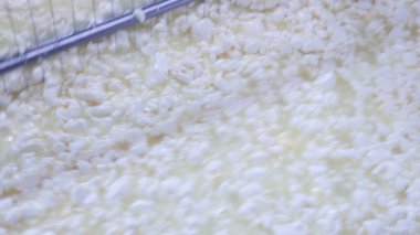 Çağdaş Fabrika, Süt İşleme ve Peynir Üretimi, Yiyecek Üretim Hattı, Endüstriyel Tarım ve Süt Ürünleri Konsepti ile Peynir Üretimi