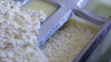 Çağdaş Fabrika, Süt İşleme ve Peynir Üretimi, Yiyecek Üretim Hattı, Endüstriyel Tarım ve Süt Ürünleri Konsepti ile Peynir Üretimi