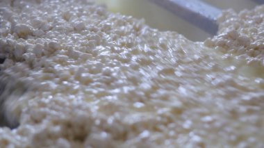 Çağdaş Fabrika, Süt İşleme ve Peynir Üretimi, Yiyecek Üretim Hattı, Endüstriyel Tarım ve Süt Ürünleri Konsepti ile Peynir Üretimi