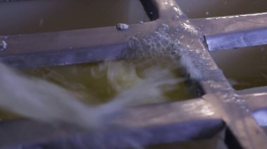 Çağdaş Fabrika, Süt İşleme ve Peynir Üretimi, Yiyecek Üretim Hattı, Endüstriyel Tarım ve Süt Ürünleri Konsepti ile Peynir Üretimi