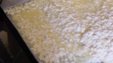 Çağdaş Fabrika, Süt İşleme ve Peynir Üretimi, Yiyecek Üretim Hattı, Endüstriyel Tarım ve Süt Ürünleri Konsepti ile Peynir Üretimi