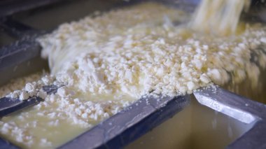 Çağdaş Fabrika, Süt İşleme ve Peynir Üretimi, Yiyecek Üretim Hattı, Endüstriyel Tarım ve Süt Ürünleri Konsepti ile Peynir Üretimi