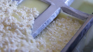 Çağdaş Fabrika, Süt İşleme ve Peynir Üretimi, Yiyecek Üretim Hattı, Endüstriyel Tarım ve Süt Ürünleri Konsepti ile Peynir Üretimi