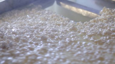 Çağdaş Fabrika, Süt İşleme ve Peynir Üretimi, Yiyecek Üretim Hattı, Endüstriyel Tarım ve Süt Ürünleri Konsepti ile Peynir Üretimi