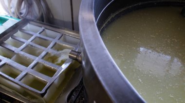 Çağdaş Fabrika, Süt İşleme ve Peynir Üretimi, Yiyecek Üretim Hattı, Endüstriyel Tarım ve Süt Ürünleri Konsepti ile Peynir Üretimi