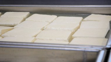 Çağdaş Fabrika, Süt İşleme ve Peynir Üretimi, Yiyecek Üretim Hattı, Endüstriyel Tarım ve Süt Ürünleri Konsepti ile Peynir Üretimi