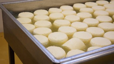 Çağdaş Fabrika, Süt İşleme ve Peynir Üretimi, Yiyecek Üretim Hattı, Endüstriyel Tarım ve Süt Ürünleri Konsepti ile Peynir Üretimi