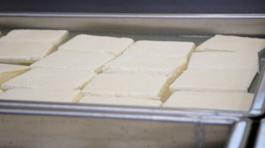 Çağdaş Fabrika, Süt İşleme ve Peynir Üretimi, Yiyecek Üretim Hattı, Endüstriyel Tarım ve Süt Ürünleri Konsepti ile Peynir Üretimi