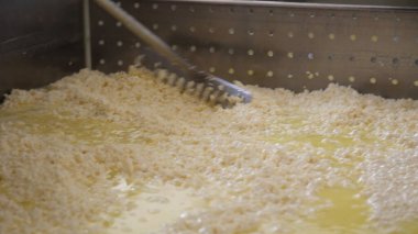 Çağdaş Fabrika, Süt İşleme ve Peynir Üretimi, Yiyecek Üretim Hattı, Endüstriyel Tarım ve Süt Ürünleri Konsepti ile Peynir Üretimi