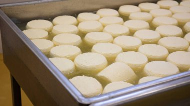 Çağdaş Fabrika, Süt İşleme ve Peynir Üretimi, Yiyecek Üretim Hattı, Endüstriyel Tarım ve Süt Ürünleri Konsepti ile Peynir Üretimi