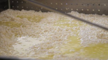 Çağdaş Fabrika, Süt İşleme ve Peynir Üretimi, Yiyecek Üretim Hattı, Endüstriyel Tarım ve Süt Ürünleri Konsepti ile Peynir Üretimi