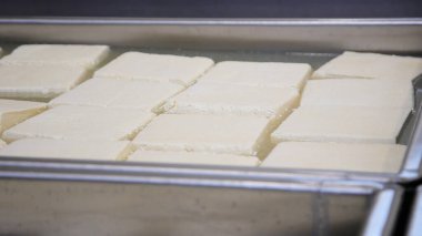 Çağdaş Fabrika, Süt İşleme ve Peynir Üretimi, Yiyecek Üretim Hattı, Endüstriyel Tarım ve Süt Ürünleri Konsepti ile Peynir Üretimi