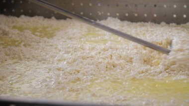 Çağdaş Fabrika, Süt İşleme ve Peynir Üretimi, Yiyecek Üretim Hattı, Endüstriyel Tarım ve Süt Ürünleri Konsepti ile Peynir Üretimi