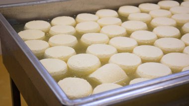 Çağdaş Fabrika, Süt İşleme ve Peynir Üretimi, Yiyecek Üretim Hattı, Endüstriyel Tarım ve Süt Ürünleri Konsepti ile Peynir Üretimi