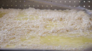 Çağdaş Fabrika, Süt İşleme ve Peynir Üretimi, Yiyecek Üretim Hattı, Endüstriyel Tarım ve Süt Ürünleri Konsepti ile Peynir Üretimi