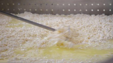 Çağdaş Fabrika, Süt İşleme ve Peynir Üretimi, Yiyecek Üretim Hattı, Endüstriyel Tarım ve Süt Ürünleri Konsepti ile Peynir Üretimi