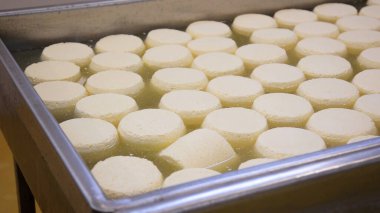 Çağdaş Fabrika, Süt İşleme ve Peynir Üretimi, Yiyecek Üretim Hattı, Endüstriyel Tarım ve Süt Ürünleri Konsepti ile Peynir Üretimi