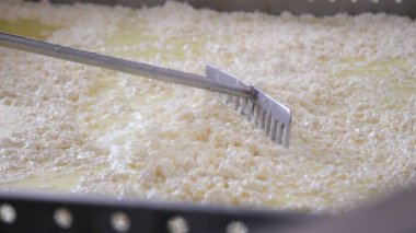 Çağdaş Fabrika, Süt İşleme ve Peynir Üretimi, Yiyecek Üretim Hattı, Endüstriyel Tarım ve Süt Ürünleri Konsepti ile Peynir Üretimi