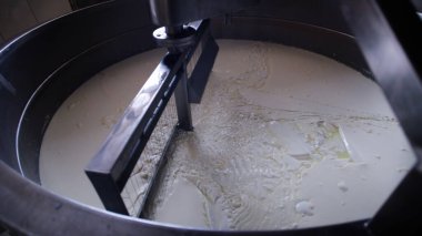 Çağdaş Fabrika, Süt İşleme ve Peynir Üretimi, Yiyecek Üretim Hattı, Endüstriyel Tarım ve Süt Ürünleri Konsepti ile Peynir Üretimi