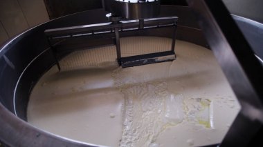 Çağdaş Fabrika, Süt İşleme ve Peynir Üretimi, Yiyecek Üretim Hattı, Endüstriyel Tarım ve Süt Ürünleri Konsepti ile Peynir Üretimi