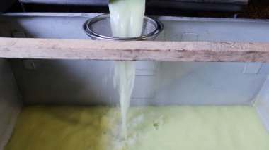 Çağdaş Fabrika, Süt İşleme ve Peynir Üretimi, Yiyecek Üretim Hattı, Endüstriyel Tarım ve Süt Ürünleri Konsepti ile Peynir Üretimi