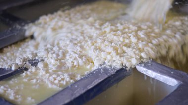 Çağdaş Fabrika, Süt İşleme ve Peynir Üretimi, Yiyecek Üretim Hattı, Endüstriyel Tarım ve Süt Ürünleri Konsepti ile Peynir Üretimi