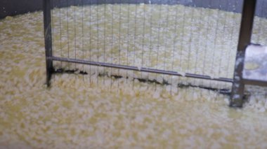 Çağdaş Fabrika, Süt İşleme ve Peynir Üretimi, Yiyecek Üretim Hattı, Endüstriyel Tarım ve Süt Ürünleri Konsepti ile Peynir Üretimi