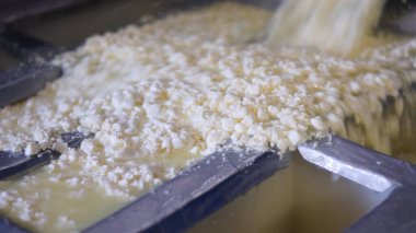 Çağdaş Fabrika, Süt İşleme ve Peynir Üretimi, Yiyecek Üretim Hattı, Endüstriyel Tarım ve Süt Ürünleri Konsepti ile Peynir Üretimi