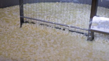 Çağdaş Fabrika, Süt İşleme ve Peynir Üretimi, Yiyecek Üretim Hattı, Endüstriyel Tarım ve Süt Ürünleri Konsepti ile Peynir Üretimi